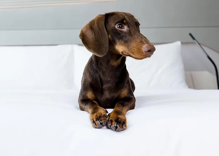 Innside By Melia Hamburg Hafen